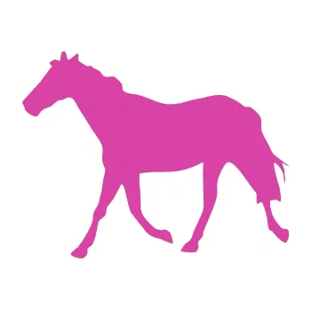 Samolepící dekorace Kůň 012 levá (16 - růžová) SAMOLEPKA NA AUTO, NÁLEPKA, FÓLIE, POLEP, TUNING, VLASTNÍ TEXT, TISK, AUTOSAMOLEPKY.cz, POLEPY, OBRÁZEK, LOGO, 3D STICKERS