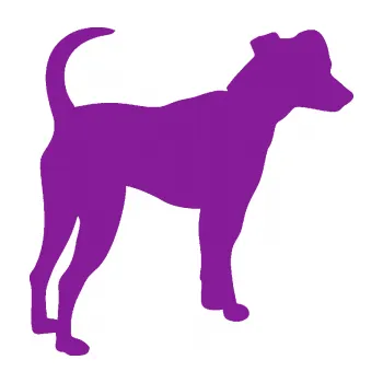 Polep vozidla SAMOLEPKA Pes 098 pravá Pražský krysařík (14 - fialová) NA AUTO, NÁLEPKA, FÓLIE, POLEP, TUNING, VLASTNÍ TEXT, TISK, AUTOSAMOLEPKY.cz, POLEPY, OBRÁZEK, LOGO, SAMOLEPKY