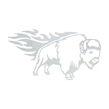 Samolepicí dekorace na vozidlo Animal flames 077 pravá býk (61 - škrábaný hliník) SAMOLEPKA NA AUTO, NÁLEPKA, FÓLIE, POLEP, TUNING, VLASTNÍ TEXT, TISK, AUTOSAMOLEPKY.cz, POLEPY, OBRÁZEK, LOGO, 3D STICKERS