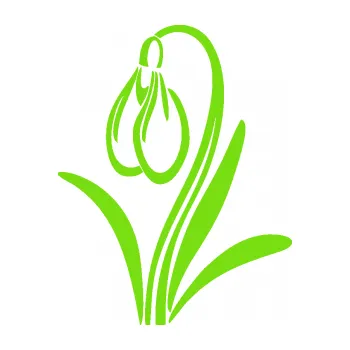 Samolepící dekorace Květina dekor 021 levá sněženka (04 - zelená kawasaki) SAMOLEPKA NA AUTO, NÁLEPKA, FÓLIE, POLEP, TUNING, VLASTNÍ TEXT, TISK, AUTOSAMOLEPKY.cz, POLEPY, OBRÁZEK, LOGO, 3D STICKERS