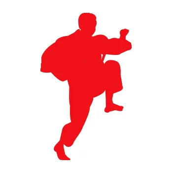 Polep vozidla SAMOLEPKA Karate 007 pravá (10 - červená) NA AUTO, NÁLEPKA, FÓLIE, POLEP, TUNING, VLASTNÍ TEXT, TISK, AUTOSAMOLEPKY.cz, POLEPY, OBRÁZEK, LOGO, SAMOLEPKY