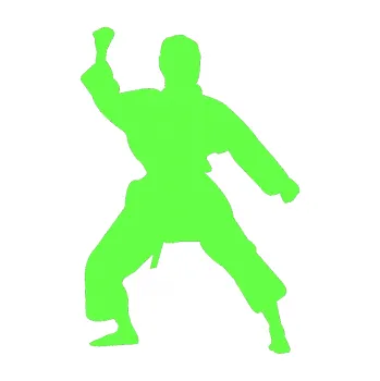 Polep vozidla Karate 011 levá (71 - Fluorescentní zelená) SAMOLEPKA NA AUTO, NÁLEPKA, FÓLIE, POLEP, TUNING, VLASTNÍ TEXT, TISK, AUTOSAMOLEPKY.cz, POLEPY, OBRÁZEK, LOGO, 3D STICKERS