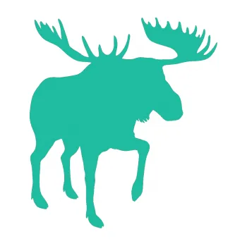 Samolepící dekorace SAMOLEPKA Los 003 pravá (25 - tyrkysová) NA AUTO, NÁLEPKA, FÓLIE, POLEP, TUNING, VLASTNÍ TEXT, TISK, AUTOSAMOLEPKY.cz, POLEPY, OBRÁZEK, LOGO, SAMOLEPKY