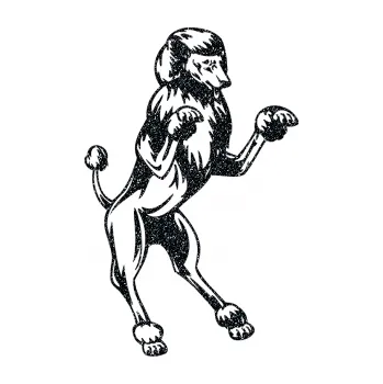 samolepka Pes 023 pravá Pudl (85 - Ultra Metalic černá) SAMOLEPKA NA AUTO, NÁLEPKA, FÓLIE, POLEP, TUNING, VLASTNÍ TEXT, TISK, AUTOSAMOLEPKY.cz, POLEPY, OBRÁZEK, LOGO, 3D STICKERS