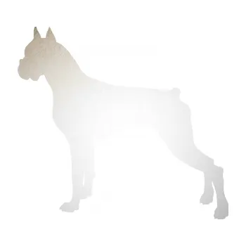 Polep vozidla SAMOLEPKA Pes 087 levá Boxer (82 - odrazková reflexní bílá) NA AUTO, NÁLEPKA, FÓLIE, POLEP, TUNING, VLASTNÍ TEXT, TISK, AUTOSAMOLEPKY.cz, POLEPY, OBRÁZEK, LOGO, SAMOLEPKY