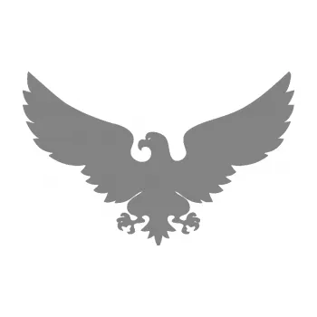 Samolepící dekorace SAMOLEPKA Orlice 001 levá (17 - šedá) NA AUTO, NÁLEPKA, FÓLIE, POLEP, TUNING, VLASTNÍ TEXT, TISK, AUTOSAMOLEPKY.cz, POLEPY, OBRÁZEK, LOGO, SAMOLEPKY