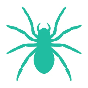 Samolepící dekorace Pavouk 015 (25 - tyrkysová) SAMOLEPKA NA AUTO, NÁLEPKA, FÓLIE, POLEP, TUNING, VLASTNÍ TEXT, TISK, AUTOSAMOLEPKY.cz, POLEPY, OBRÁZEK, LOGO, 3D STICKERS