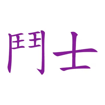 Polep vozidla SAMOLEPKA Čínský znak Fighter (14 - fialová) NA AUTO, NÁLEPKA, FÓLIE, POLEP, TUNING, VLASTNÍ TEXT, TISK, AUTOSAMOLEPKY.cz, POLEPY, OBRÁZEK, LOGO, SAMOLEPKY