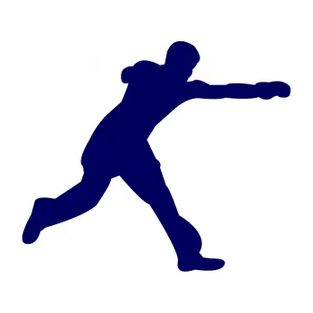 Polep vozidla Karate 004 pravá (23 - tmavě modrá) SAMOLEPKA NA AUTO, NÁLEPKA, FÓLIE, POLEP, TUNING, VLASTNÍ TEXT, TISK, AUTOSAMOLEPKY.cz, POLEPY, OBRÁZEK, LOGO, 3D STICKERS