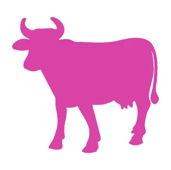 Samolepící dekorace SAMOLEPKA Kráva 002 levá (16 - růžová) NA AUTO, NÁLEPKA, FÓLIE, POLEP, TUNING, VLASTNÍ TEXT, TISK, AUTOSAMOLEPKY.cz, POLEPY, OBRÁZEK, LOGO, SAMOLEPKY