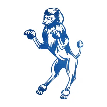 samolepka Pes 023 levá Pudl (65 - škrábaný kov modrý) SAMOLEPKA NA AUTO, NÁLEPKA, FÓLIE, POLEP, TUNING, VLASTNÍ TEXT, TISK, AUTOSAMOLEPKY.cz, POLEPY, OBRÁZEK, LOGO, 3D STICKERS