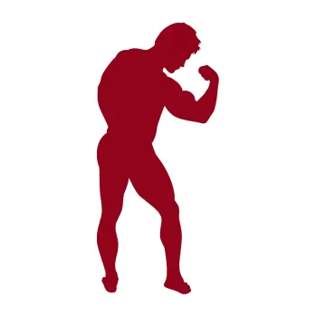 Polep vozidla Kulturista 005 pravá (07 - bordó vínová) SAMOLEPKA NA AUTO, NÁLEPKA, FÓLIE, POLEP, TUNING, VLASTNÍ TEXT, TISK, AUTOSAMOLEPKY.cz, POLEPY, OBRÁZEK, LOGO, 3D STICKERS