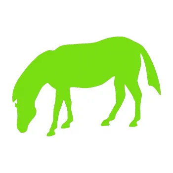 Samolepící dekorace SAMOLEPKA Kůň 006 levá na pastvě (04 - zelená kawasaki) NA AUTO, NÁLEPKA, FÓLIE, POLEP, TUNING, VLASTNÍ TEXT, TISK, AUTOSAMOLEPKY.cz, POLEPY, OBRÁZEK, LOGO, SAMOLEPKY