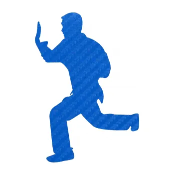 Polep vozidla Karate 002 levá (57 - 3D karbon modrý) SAMOLEPKA NA AUTO, NÁLEPKA, FÓLIE, POLEP, TUNING, VLASTNÍ TEXT, TISK, AUTOSAMOLEPKY.cz, POLEPY, OBRÁZEK, LOGO, 3D STICKERS