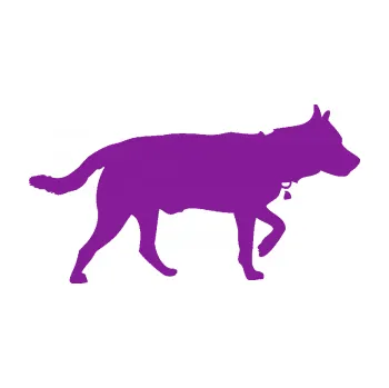 Polep vozidla SAMOLEPKA Pes 121 pravá německý ovčák (14 - fialová) NA AUTO, NÁLEPKA, FÓLIE, POLEP, TUNING, VLASTNÍ TEXT, TISK, AUTOSAMOLEPKY.cz, POLEPY, OBRÁZEK, LOGO, SAMOLEPKY