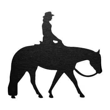 Samolepící dekorace SAMOLEPKA Kůň 082 pravá kovbojka na koni (63 - škrábaný kov černý) NA AUTO, NÁLEPKA, FÓLIE, POLEP, TUNING, VLASTNÍ TEXT, TISK, AUTOSAMOLEPKY.cz, POLEPY, OBRÁZEK, LOGO, SAMOLEPKY