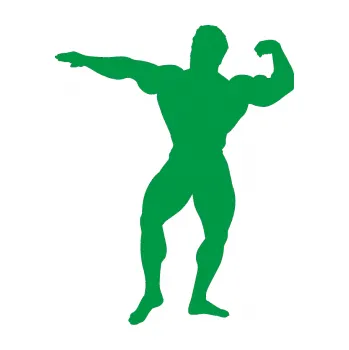 Polep vozidla Kulturista 013 levá (12 - zelená) SAMOLEPKA NA AUTO, NÁLEPKA, FÓLIE, POLEP, TUNING, VLASTNÍ TEXT, TISK, AUTOSAMOLEPKY.cz, POLEPY, OBRÁZEK, LOGO, 3D STICKERS