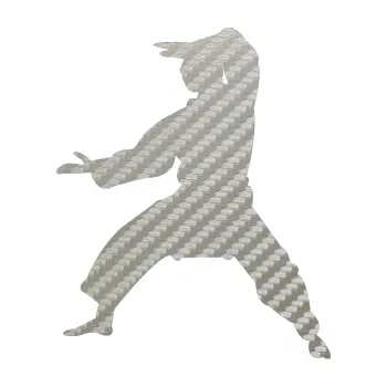 Polep vozidla Karate 006 levá (52 - 3D karbon stříbrný) SAMOLEPKA NA AUTO, NÁLEPKA, FÓLIE, POLEP, TUNING, VLASTNÍ TEXT, TISK, AUTOSAMOLEPKY.cz, POLEPY, OBRÁZEK, LOGO, 3D STICKERS