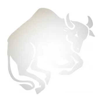 Samolepící dekorace SAMOLEPKA Býk zvěrokruh 005 pravá (82 - odrazková reflexní bílá) NA AUTO, NÁLEPKA, FÓLIE, POLEP, TUNING, VLASTNÍ TEXT, TISK, AUTOSAMOLEPKY.cz, POLEPY, OBRÁZEK, LOGO, SAMOLEPKY