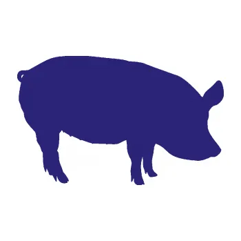 Samolepící dekorace Prase 001 pravá (22 - střední modrá) SAMOLEPKA NA AUTO, NÁLEPKA, FÓLIE, POLEP, TUNING, VLASTNÍ TEXT, TISK, AUTOSAMOLEPKY.cz, POLEPY, OBRÁZEK, LOGO, 3D STICKERS