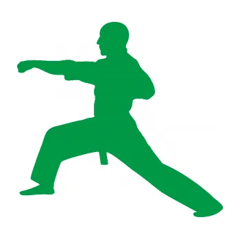 Polep vozidla Judo 001 levá (12 - zelená) SAMOLEPKA NA AUTO, NÁLEPKA, FÓLIE, POLEP, TUNING, VLASTNÍ TEXT, TISK, AUTOSAMOLEPKY.cz, POLEPY, OBRÁZEK, LOGO, 3D STICKERS