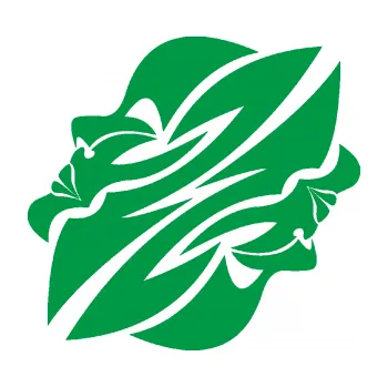 Samolepící dekorace Blíženci 003 (12 - zelená) SAMOLEPKA NA AUTO, NÁLEPKA, FÓLIE, POLEP, TUNING, VLASTNÍ TEXT, TISK, AUTOSAMOLEPKY.cz, POLEPY, OBRÁZEK, LOGO, 3D STICKERS