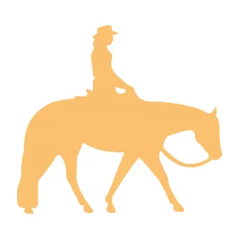 Samolepící dekorace Kůň 082 pravá kovbojka na koni (08 - béžová) SAMOLEPKA NA AUTO, NÁLEPKA, FÓLIE, POLEP, TUNING, VLASTNÍ TEXT, TISK, AUTOSAMOLEPKY.cz, POLEPY, OBRÁZEK, LOGO, 3D STICKERS