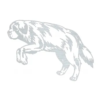 Polep vozidla SAMOLEPKA Pes 034 levá (61 - škrábaný hliník) NA AUTO, NÁLEPKA, FÓLIE, POLEP, TUNING, VLASTNÍ TEXT, TISK, AUTOSAMOLEPKY.cz, POLEPY, OBRÁZEK, LOGO, SAMOLEPKY