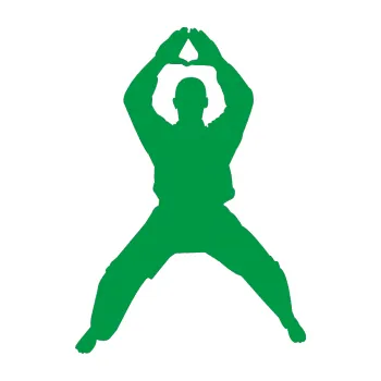 Polep vozidla Karate 003 levá (12 - zelená) SAMOLEPKA NA AUTO, NÁLEPKA, FÓLIE, POLEP, TUNING, VLASTNÍ TEXT, TISK, AUTOSAMOLEPKY.cz, POLEPY, OBRÁZEK, LOGO, 3D STICKERS