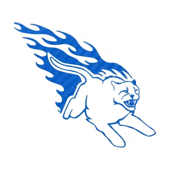 Samolepicí dekorace na vozidlo Animal flames 096 pravá puma (57 - 3D karbon modrý) SAMOLEPKA NA AUTO, NÁLEPKA, FÓLIE, POLEP, TUNING, VLASTNÍ TEXT, TISK, AUTOSAMOLEPKY.cz, POLEPY, OBRÁZEK, LOGO, 3D STICKERS