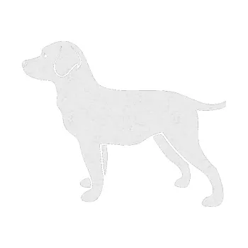 Polep vozidla SAMOLEPKA Pes 062 levá Labrador (84 - Ultra Metalic bílá) NA AUTO, NÁLEPKA, FÓLIE, POLEP, TUNING, VLASTNÍ TEXT, TISK, AUTOSAMOLEPKY.cz, POLEPY, OBRÁZEK, LOGO, SAMOLEPKY