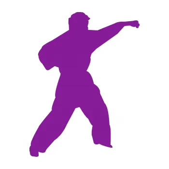 Polep vozidla Karate 010 pravá (14 - fialová) SAMOLEPKA NA AUTO, NÁLEPKA, FÓLIE, POLEP, TUNING, VLASTNÍ TEXT, TISK, AUTOSAMOLEPKY.cz, POLEPY, OBRÁZEK, LOGO, 3D STICKERS