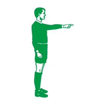 Samolepící dekorace Rozhodčí 003 pravá (12 - zelená) SAMOLEPKA NA AUTO, NÁLEPKA, FÓLIE, POLEP, TUNING, VLASTNÍ TEXT, TISK, AUTOSAMOLEPKY.cz, POLEPY, OBRÁZEK, LOGO, 3D STICKERS