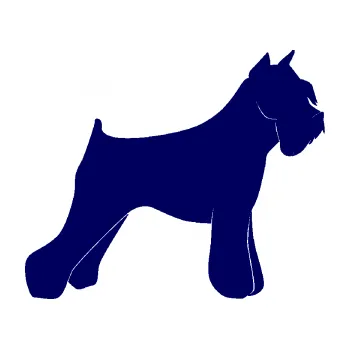 Polep vozidla SAMOLEPKA Pes 091 pravá Knírač (23 - tmavě modrá) NA AUTO, NÁLEPKA, FÓLIE, POLEP, TUNING, VLASTNÍ TEXT, TISK, AUTOSAMOLEPKY.cz, POLEPY, OBRÁZEK, LOGO, SAMOLEPKY