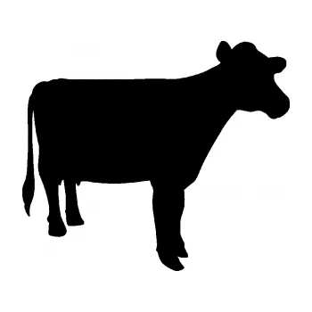 Samolepící dekorace Kráva 001 pravá (01 - černá) SAMOLEPKA NA AUTO, NÁLEPKA, FÓLIE, POLEP, TUNING, VLASTNÍ TEXT, TISK, AUTOSAMOLEPKY.cz, POLEPY, OBRÁZEK, LOGO, 3D STICKERS