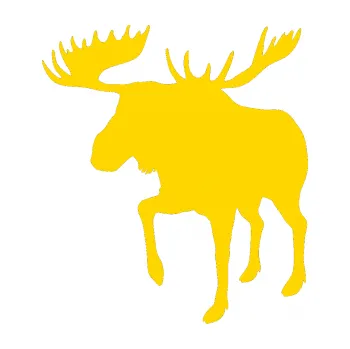 Samolepící dekorace Los 003 levá (13 - jasně žlutá) SAMOLEPKA NA AUTO, NÁLEPKA, FÓLIE, POLEP, TUNING, VLASTNÍ TEXT, TISK, AUTOSAMOLEPKY.cz, POLEPY, OBRÁZEK, LOGO, 3D STICKERS