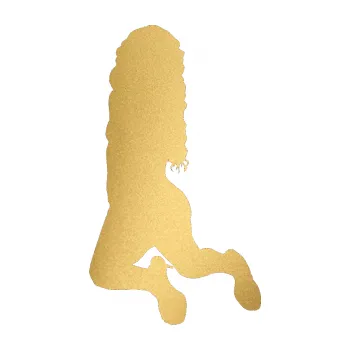 Polep vozidla Erotická žena 038 levá (43 - zlatá metalíza) SAMOLEPKA NA AUTO, NÁLEPKA, FÓLIE, POLEP, TUNING, VLASTNÍ TEXT, TISK, AUTOSAMOLEPKY.cz, POLEPY, OBRÁZEK, LOGO, 3D STICKERS