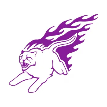 Samolepicí dekorace na vozidlo Animal flames 096 levá puma (14 - fialová) SAMOLEPKA NA AUTO, NÁLEPKA, FÓLIE, POLEP, TUNING, VLASTNÍ TEXT, TISK, AUTOSAMOLEPKY.cz, POLEPY, OBRÁZEK, LOGO, 3D STICKERS