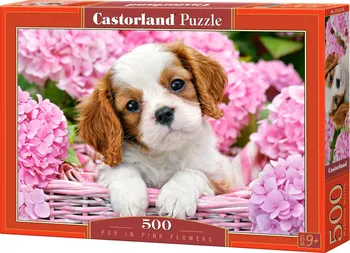 Puzzle Castorland Štěňátko v růžových květinách 500 dílků