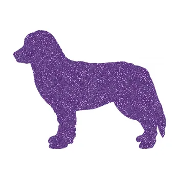 Polep vozidla SAMOLEPKA Pes 157 levá bernský salašnický (87 - Ultra Metalic fialová) NA AUTO, NÁLEPKA, FÓLIE, POLEP, TUNING, VLASTNÍ TEXT, TISK, AUTOSAMOLEPKY.cz, POLEPY, OBRÁZEK, LOGO, SAMOLEPKY