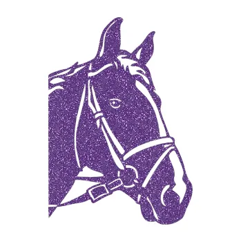 Samolepící dekorace SAMOLEPKA Kůň 028 pravá hlava s uzdou (87 - Ultra Metalic fialová) NA AUTO, NÁLEPKA, FÓLIE, POLEP, TUNING, VLASTNÍ TEXT, TISK, AUTOSAMOLEPKY.cz, POLEPY, OBRÁZEK, LOGO, SAMOLEPKY