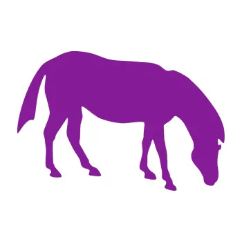 Samolepící dekorace SAMOLEPKA Kůň 006 pravá na pastvě (14 - fialová) NA AUTO, NÁLEPKA, FÓLIE, POLEP, TUNING, VLASTNÍ TEXT, TISK, AUTOSAMOLEPKY.cz, POLEPY, OBRÁZEK, LOGO, SAMOLEPKY