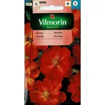 Vilmorin Diablo krásenka sírožlutá 1 g