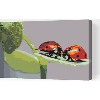 Malování podle čísel - Berušky Velikost: 40x60cm, Rámování: Pouze srolované plátno