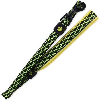 Vodítko pro psa Vodítko ACTIVE DOG Mystic limetka L