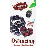 Royal Pharma Ostružiny sušené mrazem 20 g