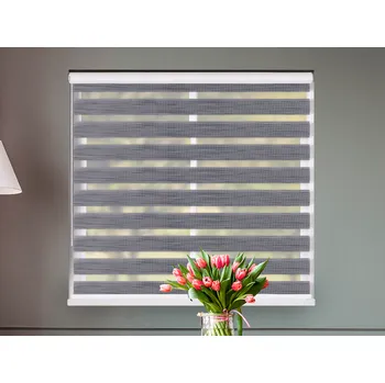 Roleta FEXI Zatemňovací Roleta Den a noc, Tmavá bříza, B 004 v MAXI kazetě, 150x30 cm