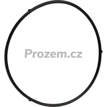 Těsnění plováku pro Loncin, 3808404560001