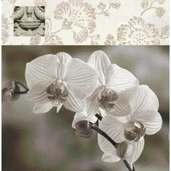 prostírání Korkové prostírání pod skleničky "Orchidej" /10,5*10,5 cm/ - 4 ks