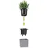 Květináč Lechuza Canto Stone Square 14 cm